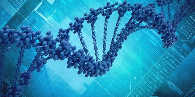 חומרי איפור מקלקלים את ה- DNA שלך!