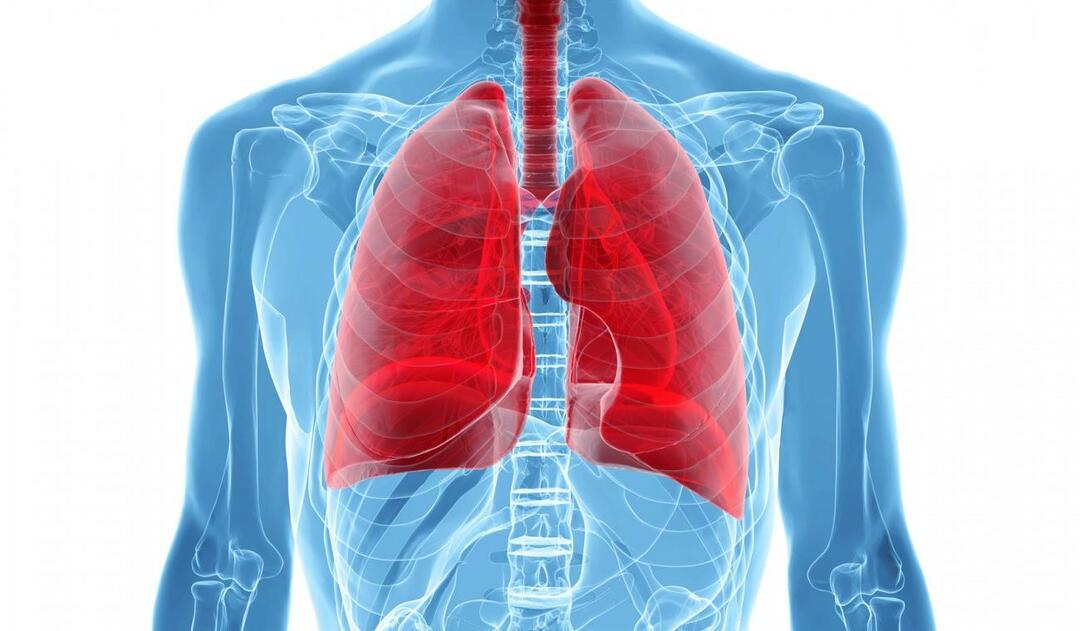 מהי תסמונת הריאה הלבנה ומהם התסמינים שלה? מהו הטיפול בתסמונת הריאה הלבנה?