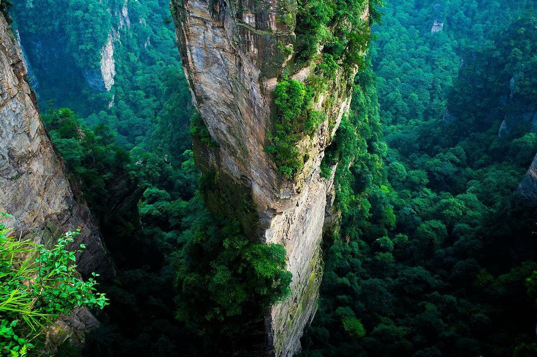 פארק היער הלאומי Zhangjiajie