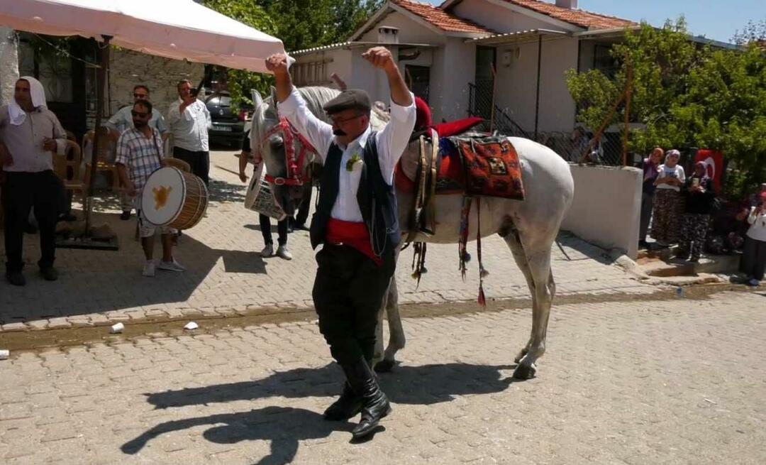 הסוס המשחק עם בעליו הפך לסדר היום ברשתות החברתיות!