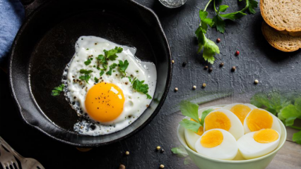 מהי דיאטת ביצה מבושלת? דיאטת 'ביצה', שנחלשת 12 קילו בשבוע