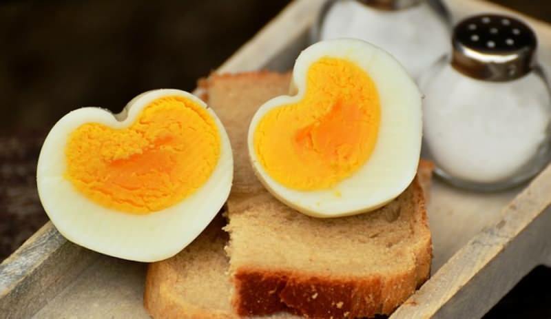 כיצד יש לאחסן את הביצה המבושלת? טיפים להרתיחת ביצים אידיאלית