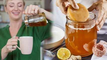 האם תה קומבוצ'ה נחלש? איך להכין קומבוצ'ה לירידה במשקל? יתרונות תה קומבוצ'ה