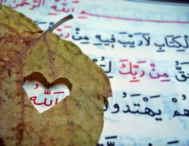 סורה יאסין בערבית