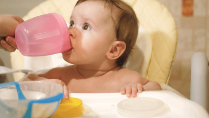 מתי נותנים לתינוקות מים? האם ניתנים מים לתינוק הניזון מתמ"ל במעבר למזון משלים?
