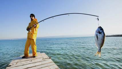 איך לדוג? מהם הטריקים של דיג עם חכה?
