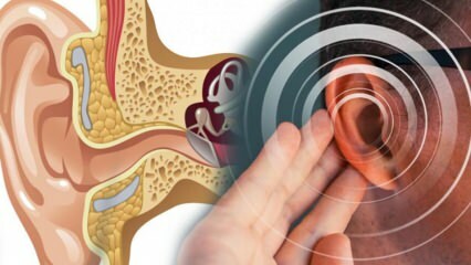 מחלת אוזניים: מה גורם לסבל יותר? מהם הסימפטומים של מנייר? האם יש תרופה?