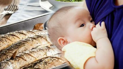 האם ניתן לאכול דגים במהלך ההנקה?
