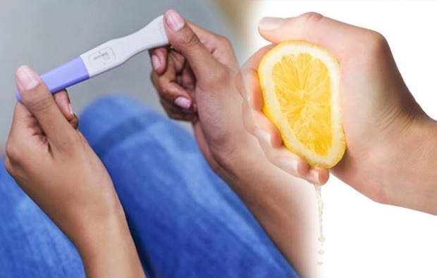 איך לערוך בדיקת הריון עם לימון?