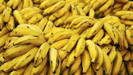 האם קליפת הבננה מועילה לעור? כיצד משתמשים בבננה בטיפול בעור?
