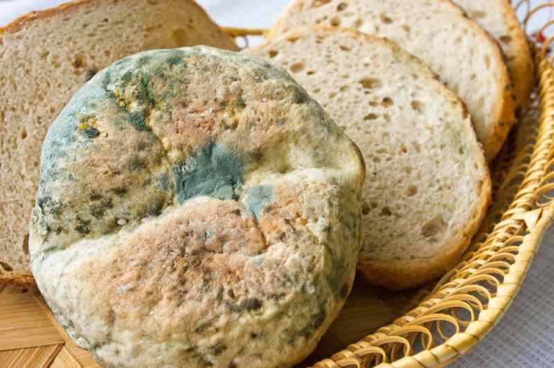 דרכים למנוע לחם להיות מיושן ועובש