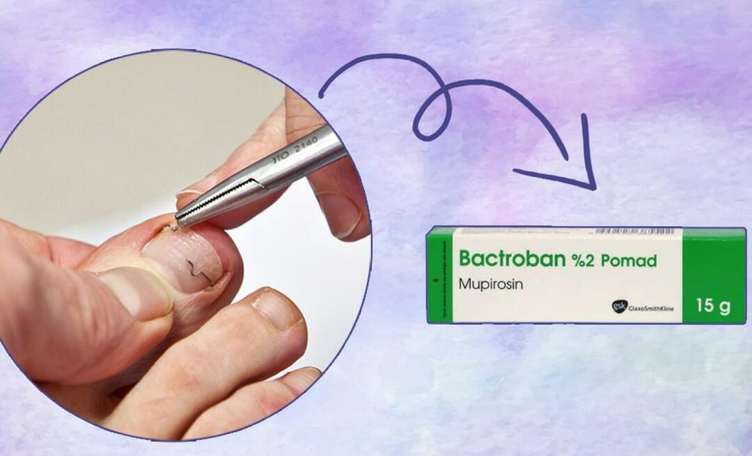 מה עושה קרם בקטרובן וכיצד משתמשים בו? מחיר פומד Bactroban 2023