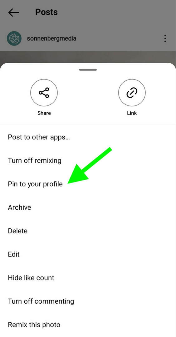 איך-ל-instagram-pin-posts-profile-grid-sonnenbergmedia-step-1