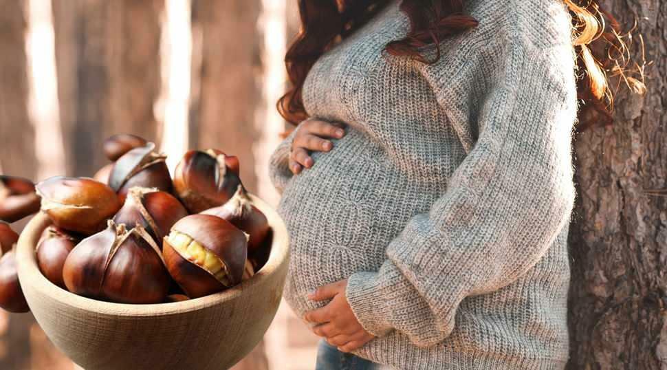  האם נשים בהריון יכולות לאכול ערמונים?