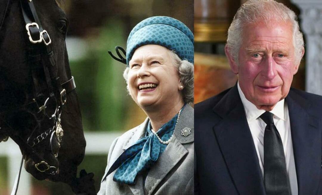 המלך השלישי. המלכה צ'ארלס השני חוסר כבוד למורשת של אליזבת! המנצח ימכור את הסוסים