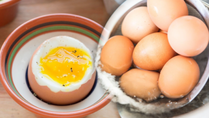 מהם היתרונות של ביצה נמוכה? אם תאכל שתי ביצים מבושלות ביום ...