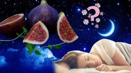 מה הפירוש של עץ תאנה בחלום? מה זה אומר לחלום על אכילת תאנים? קטיף תאנים מעץ בחלום
