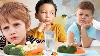 כיצד יש להאכיל ירקות ופירות לילדים? מהם היתרונות של ירקות ופירות?