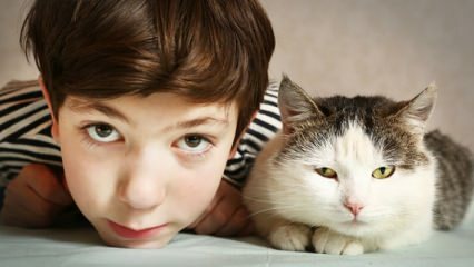 מה ההשפעה של חיות מחמד על ילדים?
