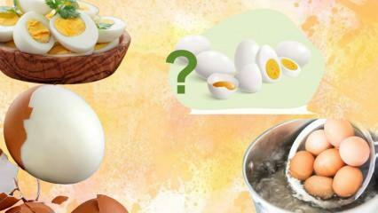 דיאטת ביצה מבושלת! הביצה שומרת אותך שבע? 12 קילו בשבוע 