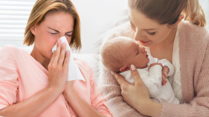 איך חולפת שפעת אצל אמהות מניקות? הפתרונות הצמחים היעילים ביותר לשפעת לאמהות מיניקות