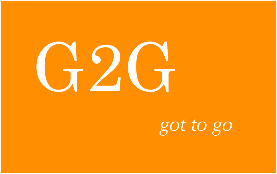 משמעות G2G