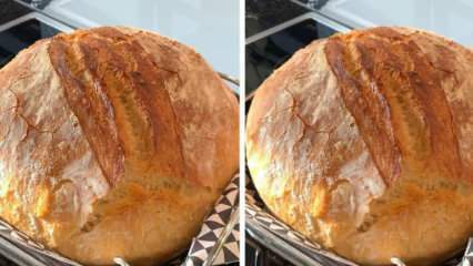 איך מכינים לחם כפרי פריך? המתכון לחם הכפר הבריא ביותר