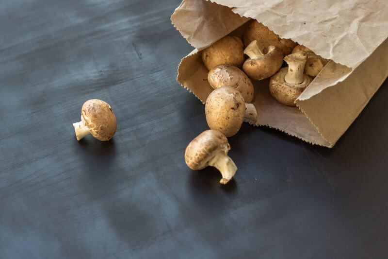 איך להבין את טריות הפטריה? איך לאחסן פטריות? טיפים לבישול פטריות