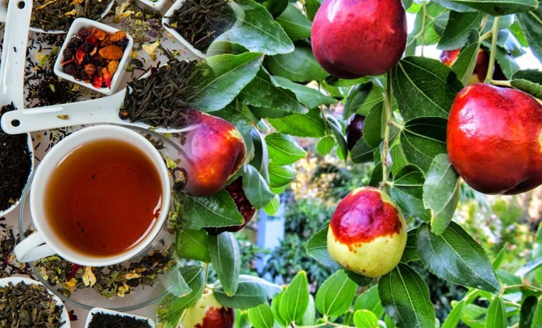 מהם היתרונות של תה שיזף המומלץ על ידי אבן סינא? למה תה שיזף טוב?