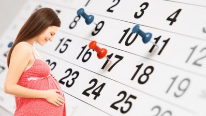 האם הלידה הרגילה נעשית בהריון תאום?