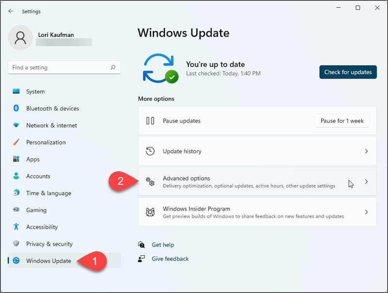 עבור אל Windows Update> אפשרויות מתקדמות בהגדרות Windows 11