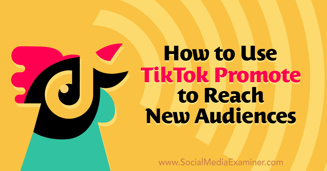 כיצד להשתמש בקידום TikTok כדי להגיע לקהלים חדשים בבוחן המדיה החברתית.