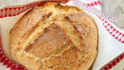 איך מכינים לחם לא מצוף? מתכון הלחם הקל ביותר ללא שמרים