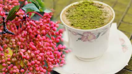 מה היתרונות של זרע Menengiç (Çitlembik)? מה הקפה של מננגיץ 'עושה?
