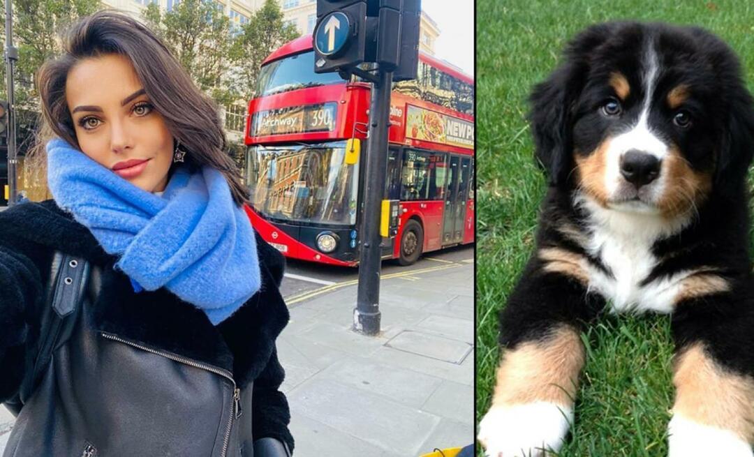 השחקנית Tuvana Türkay נתנה את חייה עבור הכלב שלה!