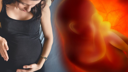 האם הווסת בזמן ההריון? גורם וסוגי דימום במהלך ההריון