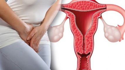 מהו עיבוי דופן הרחם? כמה צריך להיות עובי דופן הרחם במהלך ההיריון?
