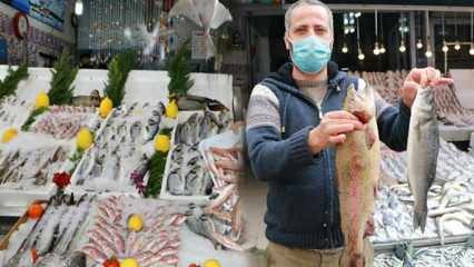 איך אפשר לדעת אם דג מזויף? טריקים כדי לגרום לדגים להראות כבדים ובהירים
