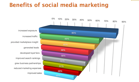 דו"ח ענף השיווק של מדיה חברתית משנת 2012