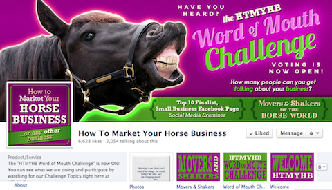 כיצד לשווק את עסק הסוסים שלך