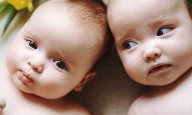 אם יש תאומים במשפחה, האם הסיכוי להריון תאום יגדל? דור סוסים?