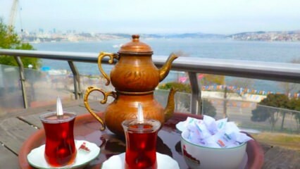 גני תה משפחתיים בצד האירופי של איסטנבול