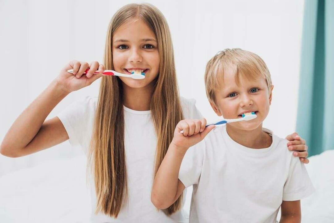 בחירת מברשת השיניים וההדבקה הנכונים 