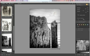 Nik Software Silver Efex Pro - סקירת תוכנות צילום - נקודות בקרה