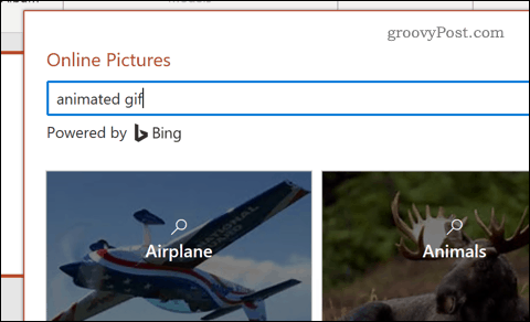 מחפש GIF אנימציה ב- PowerPoint