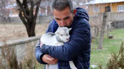 עיתונאים הצילו את חייו של גור עז שהכה את אמו על ידי הדוב