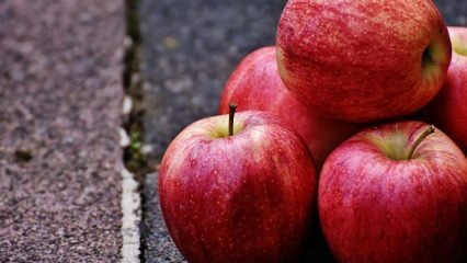 מה היתרונות של צריכת תפוחים במהלך ההריון?