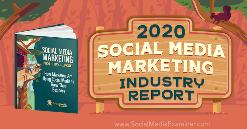 דו"ח תעשיית שיווק במדיה חברתית 2020 מאת מייקל סטלזנר על בוחן המדיה החברתית.
