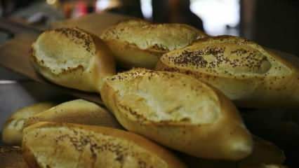 כיצד מעריכים לחם מעופש? מתכונים שנעשו עם לחם מעופש