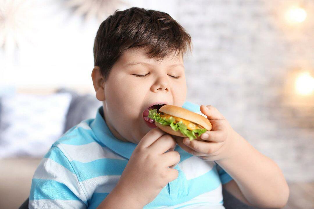 מהי השמנת יתר אצל ילדים